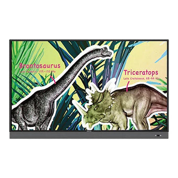 BenQ RE Series Educational Interactive 4K Monitor