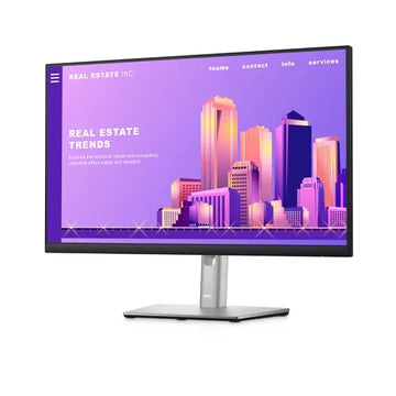 Dell 24-inch monitor – P2422H